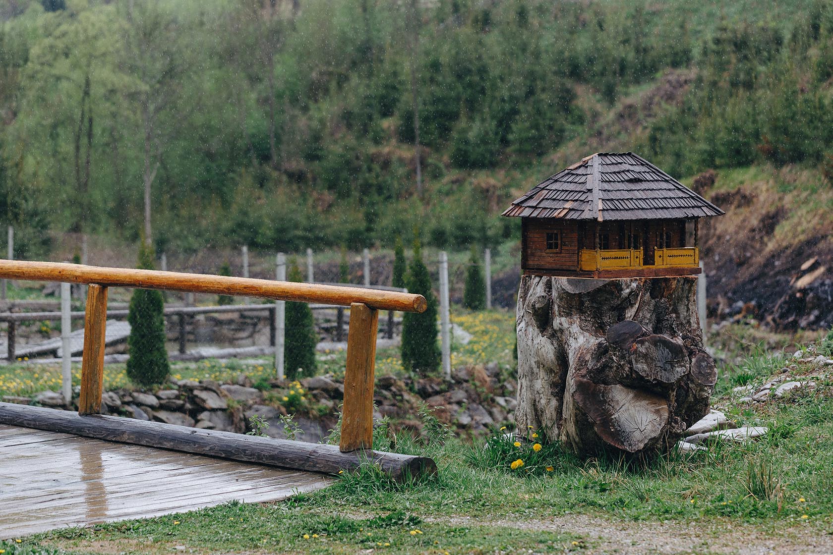 invitati in port popular maramures